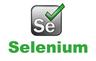 Selenium Course